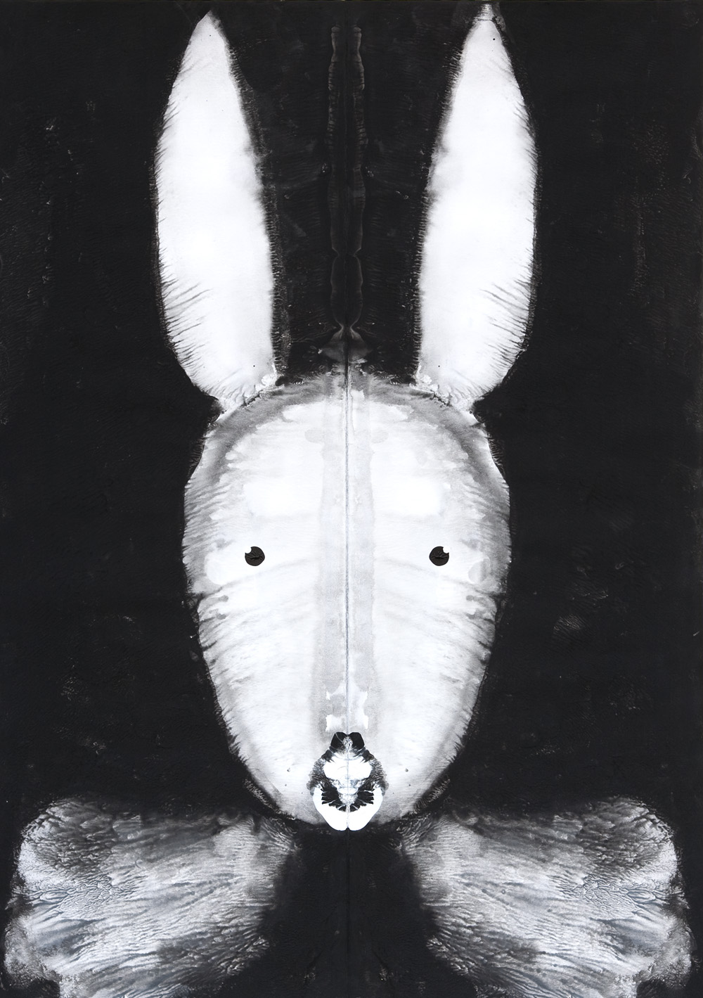 Rabbit 28
